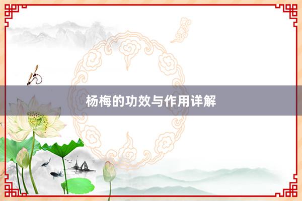 杨梅的功效与作用详解