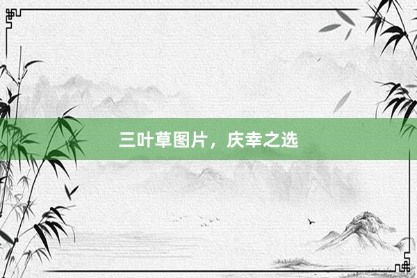 三叶草图片，庆幸之选