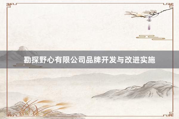 勘探野心有限公司品牌开发与改进实施