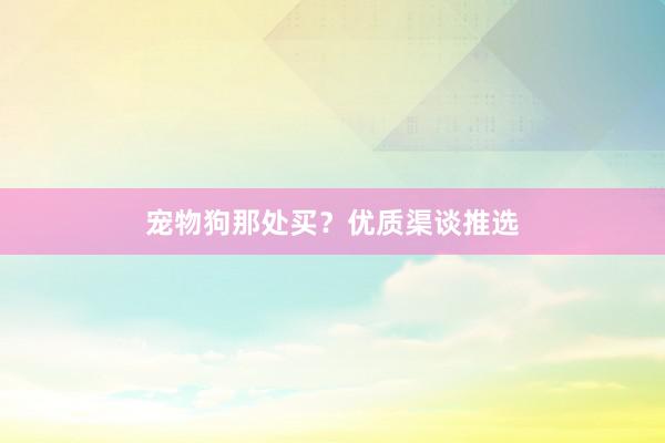 宠物狗那处买？优质渠谈推选