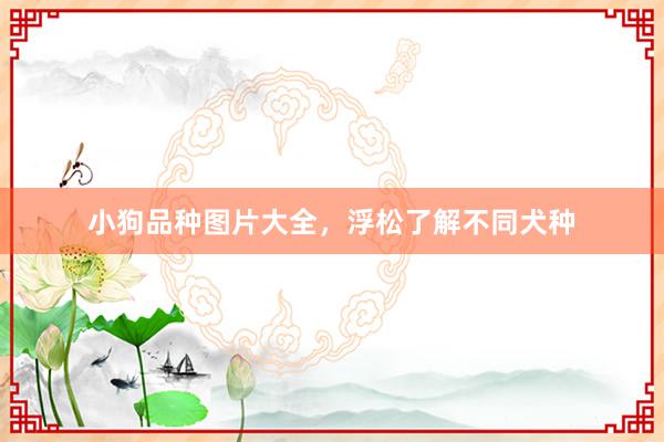 小狗品种图片大全，浮松了解不同犬种