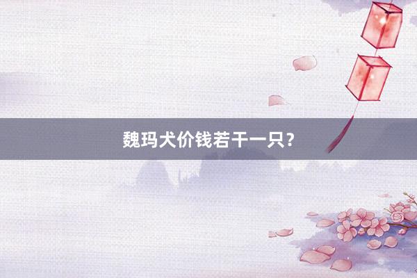 魏玛犬价钱若干一只？